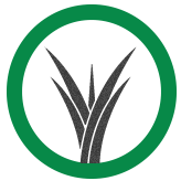 01使用草生栽培耕種作物