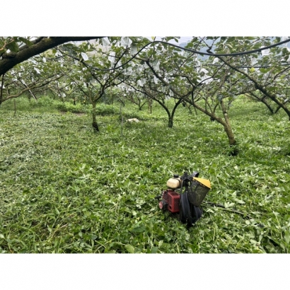 1693003226892.jpg 1693003226892.jpg