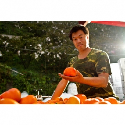 S__86646804_0.jpg S__86646804_0.jpg