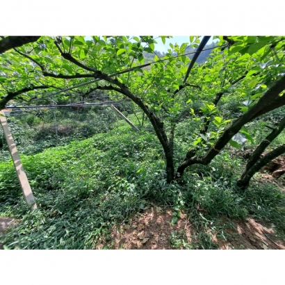 20230504_094817.jpg 20230504_094817.jpg