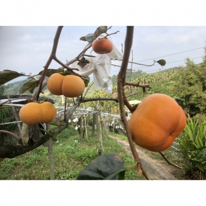 5A8908E3-5B07-494C-A466-8011FB8A1CCF.jpg 5A8908E3-5B07-494C-A466-8011FB8A1CCF.jpg