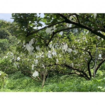 1693486603224.jpg 1693486603224.jpg