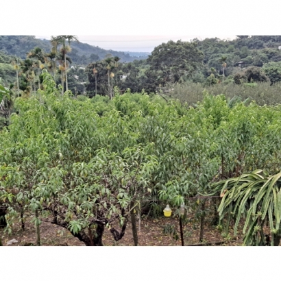 20230824_164739.jpg 20230824_164739.jpg