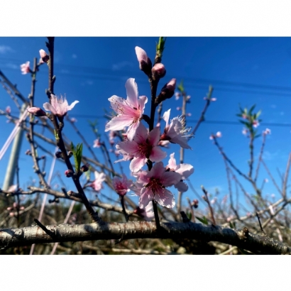 1692942139025.jpg 1692942139025.jpg