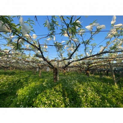 1693483472381.jpg 1693483472381.jpg