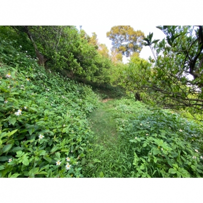 010E987A-710B-4B35-BD54-D63CC65063F3.jpg 010E987A-710B-4B35-BD54-D63CC65063F3.jpg