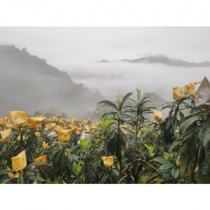 446632.jpg 446632.jpg