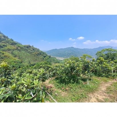 20230504_112914.jpg 20230504_112914.jpg