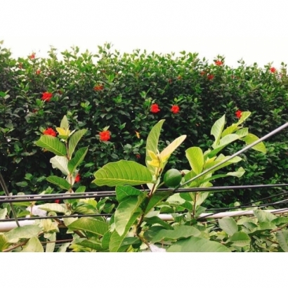 1693479913581.jpg 1693479913581.jpg