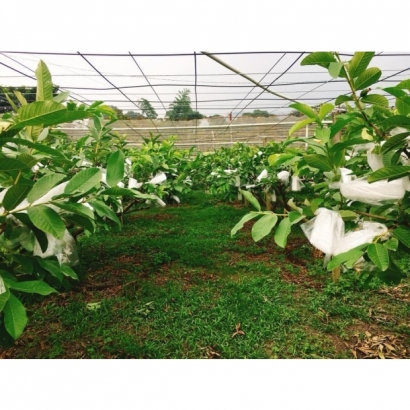 7B13AD16-4553-441F-98F3-E04BD7DFB435.jpg 7B13AD16-4553-441F-98F3-E04BD7DFB435.jpg