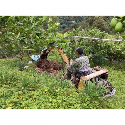 S__54116369_0.jpg S__54116369_0.jpg